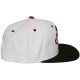 Casquette Snapback King Apparel x Starter - Prestige - White