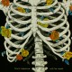 T-shirt Insight - Bones Bouquet Tee - Floyd Black