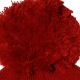 Bonnet Obey - Worldwide Pom Pom Beanie - Red
