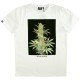 T-shirt Space Monkeys - Bud Crew Neck Tee - White