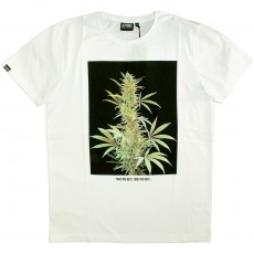 T-shirt Space Monkeys - Bud Crew Neck Tee - White