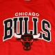 Sweat Shirt Mitchell And Ness - NBA Team Arch Crew - Chicago Bulls - Red