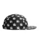 Casquette 5 Panel Cayler And Sons - Budz And Stripes Cap - Black / White