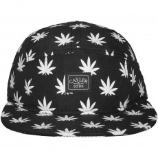 Casquette 5 Panel Cayler And Sons - Budz And Stripes Cap - Black / White