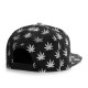 Casquette Snapback Cayler And Sons - Budz n Stripes Reflect 2-Tone Cap - Black / Reflective