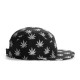 Casquette 5 Panel Cayler And Sons - Budz n Stripes Reflect 5 Panel Cap - Black / Reflective