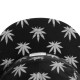 Casquette 5 Panel Cayler And Sons - Budz n Stripes Reflect 5 Panel Cap - Black / Reflective