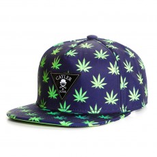 Casquette Snapback Cayler And Sons - Leafs n Stripes 2Tone Cap - Navy / Neon Green