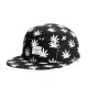 Casquette 5 Panel Cayler And Sons - Leafs n Stripes 5 Panel Cap - Black / White