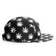 Casquette 5 Panel Cayler And Sons - Leafs n Stripes 5 Panel Cap - Black / White