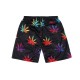 Short Cayler And Sons - Big Budz Mesh Shorts - Black / Batik MC