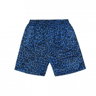 Short Cayler And Sons - Fuzzy Leo Mesh Shorts - Black / Blue