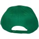 Casquette Snapback Masterdis - Kelly Green Original Retro Blank Cap