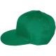 Casquette Snapback Masterdis - Kelly Green Original Retro Blank Cap