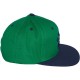 Casquette Snapback LRG - Core Collection Snapback Hat - Kelly Green