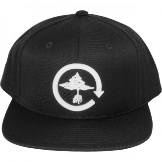 Casquette Snapback LRG - Skate Tree Hat - Black