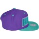 Casquette Snapback Mitchell & Ness - NBA Logo & Wordmark - Charlotte Hornets