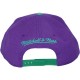 Casquette Snapback Mitchell & Ness - NBA Backboard Beak - Charlotte Hornets