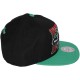 Casquette Snapback Mitchell & Ness - NBA Backboard Beak - Vancouver Grizzlies