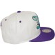 Casquette Snapback Mitchell & Ness - NBA XL White Crown 2Tone - Charlotte Hornets