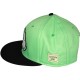 Casquette Snapback Cayler & Sons - Brooklyn - Mint / Black