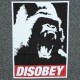 T-shirt Space Monkeys - Disobey Tee - Gris 