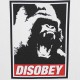 T-shirt Space Monkeys - Disobey Tee - White