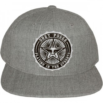 Casquette Snapback Obey - Pro Bowl Snapback - Heather Grey