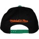 Casquette Snapback Mitchell & Ness - NBA Arch Logo Color - Charlotte Hornets