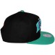 Casquette Snapback Mitchell & Ness - NBA Arch Logo Color - Charlotte Hornets